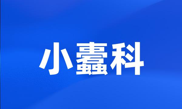 小蠹科