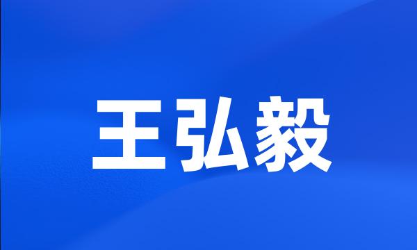 王弘毅