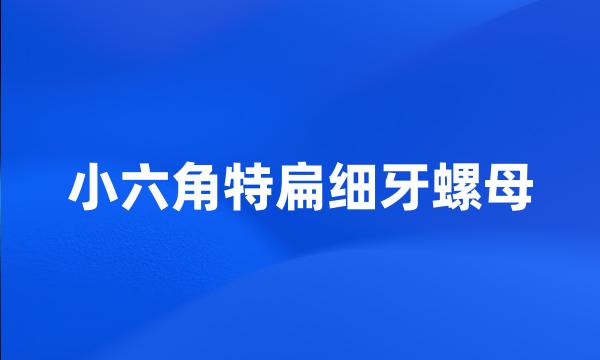 小六角特扁细牙螺母