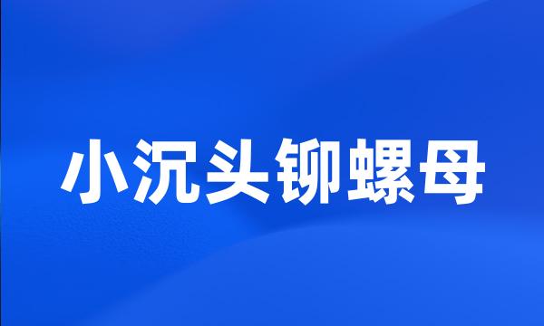 小沉头铆螺母