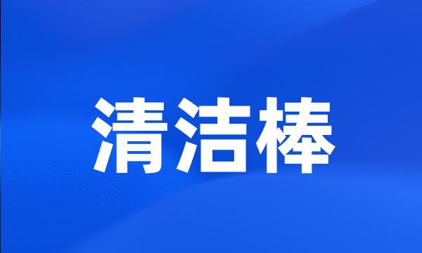 清洁棒