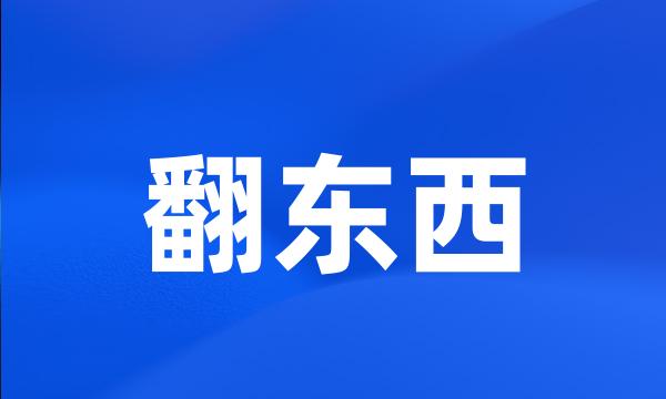 翻东西