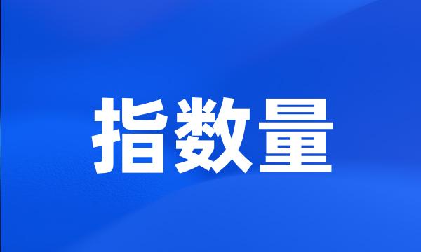 指数量