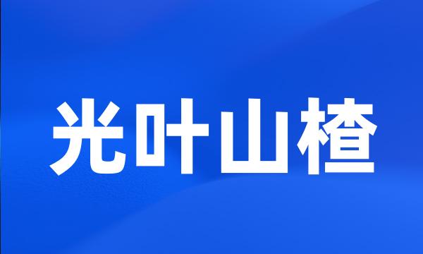 光叶山楂