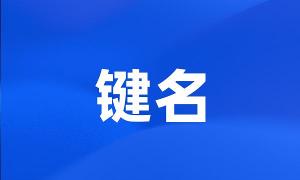 键名