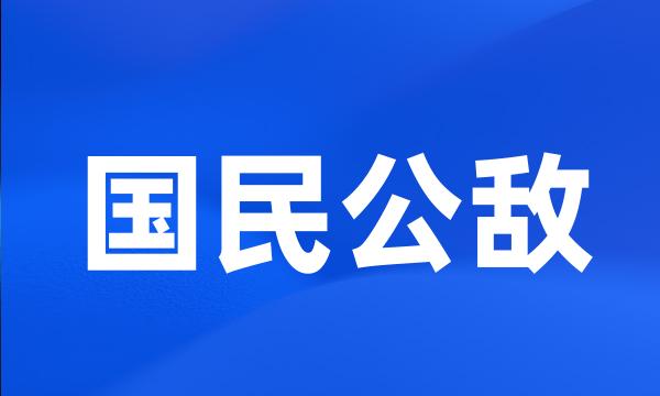 国民公敌