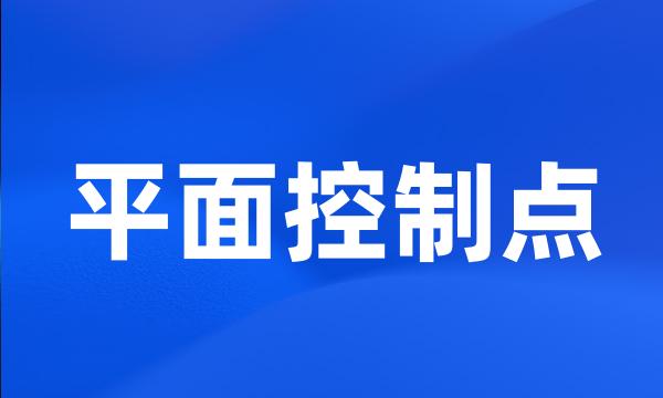 平面控制点