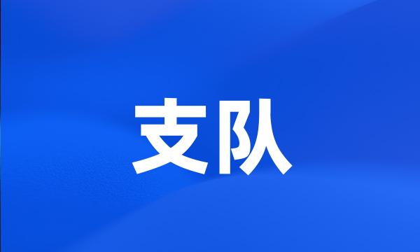 支队