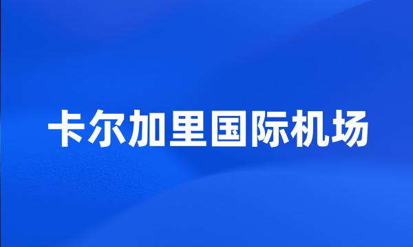 卡尔加里国际机场