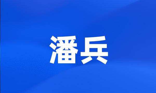 潘兵