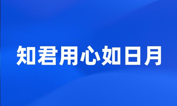 知君用心如日月