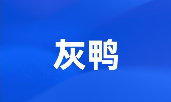 灰鸭