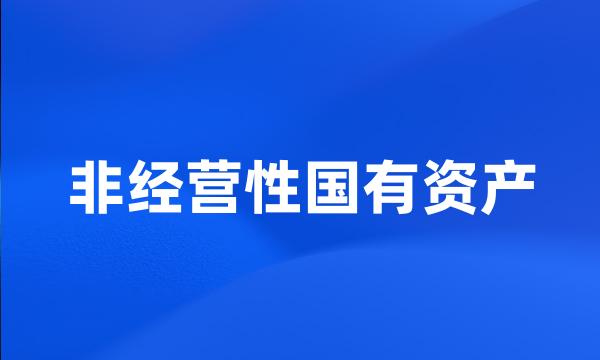 非经营性国有资产