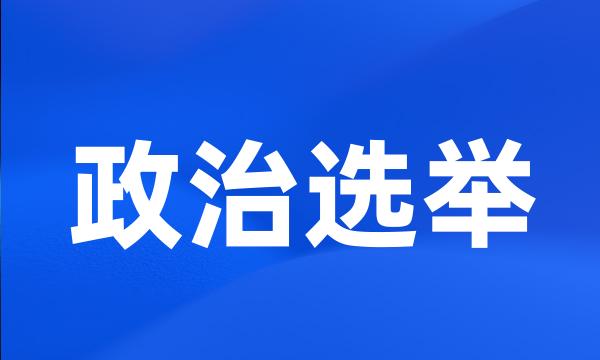 政治选举