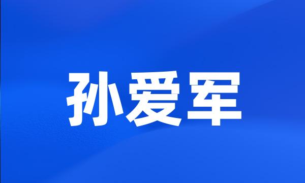 孙爱军