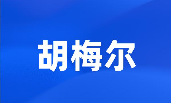 胡梅尔