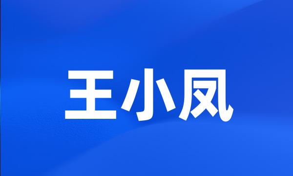 王小凤