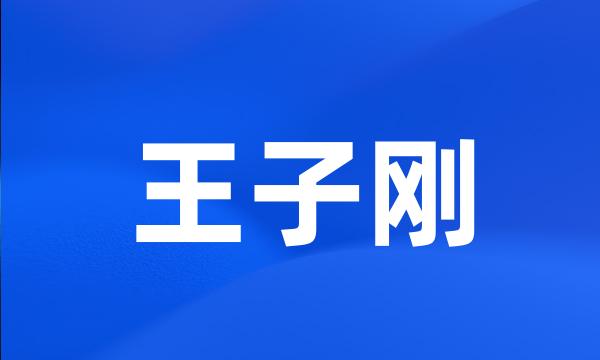 王子刚