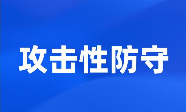 攻击性防守