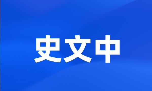 史文中