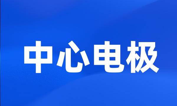 中心电极