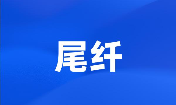 尾纤