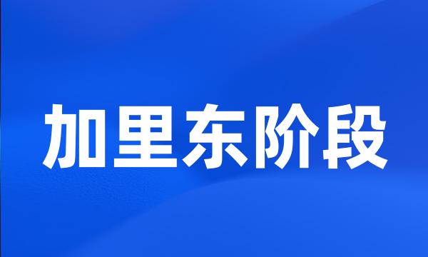 加里东阶段