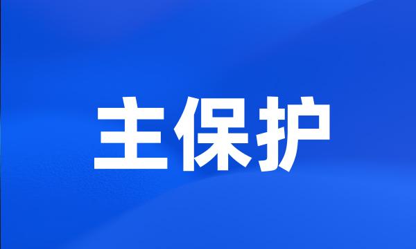 主保护