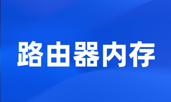 路由器内存