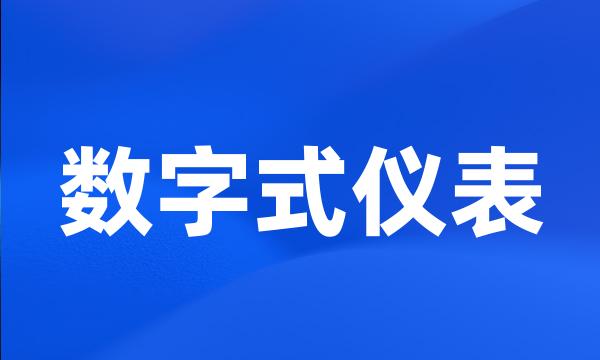 数字式仪表