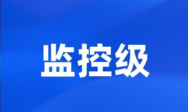 监控级