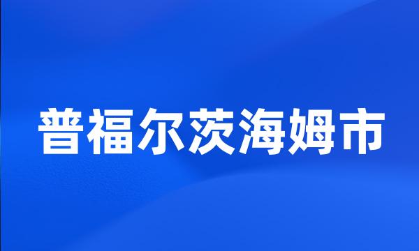 普福尔茨海姆市