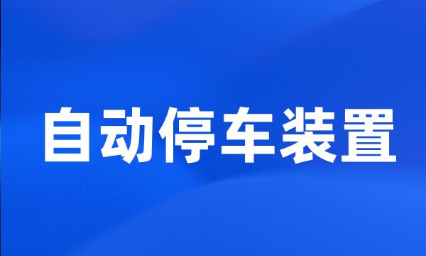 自动停车装置