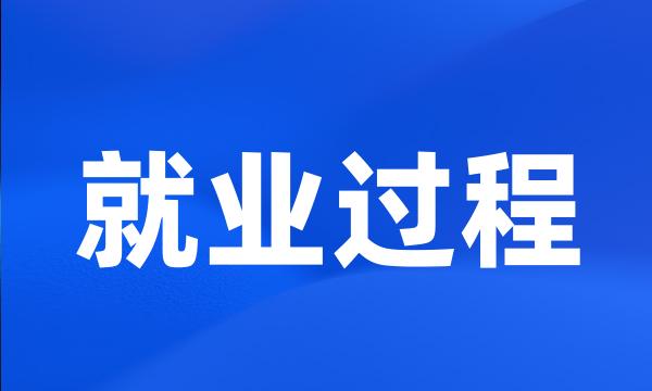 就业过程