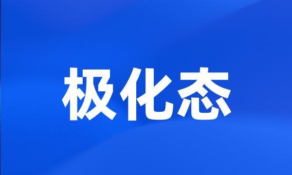 极化态