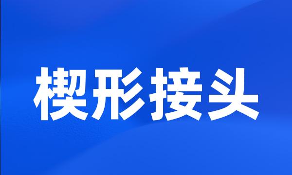 楔形接头