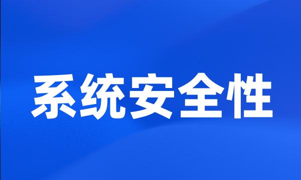 系统安全性