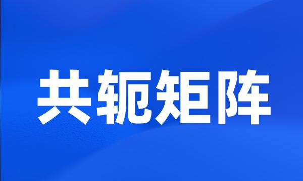 共轭矩阵