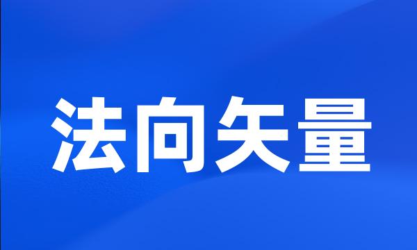 法向矢量