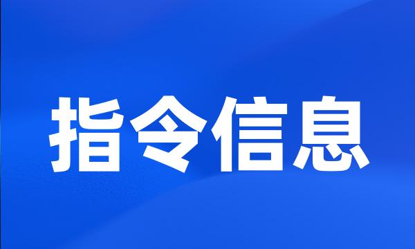 指令信息