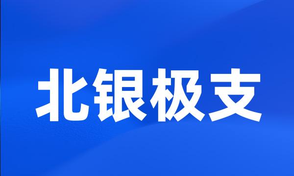 北银极支