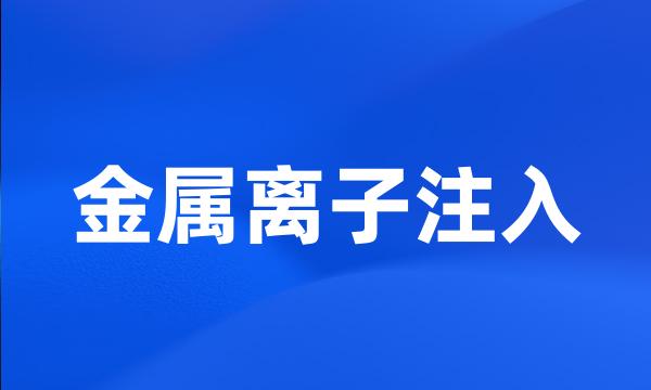 金属离子注入