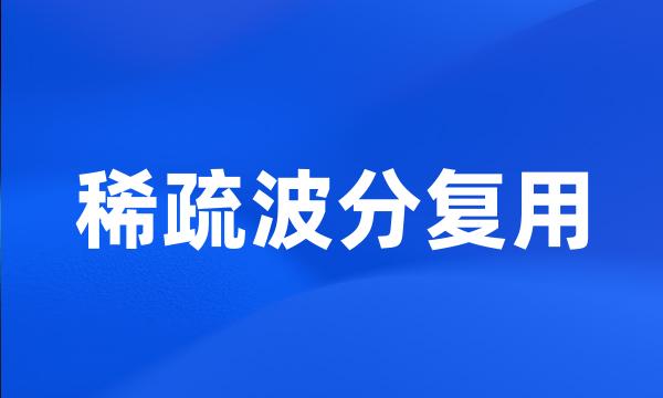 稀疏波分复用