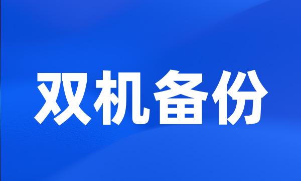 双机备份