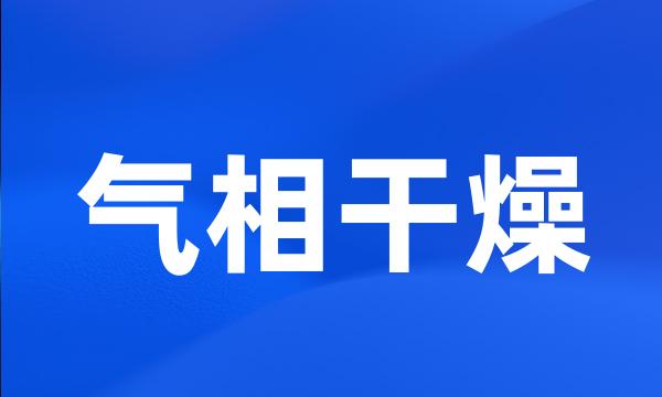 气相干燥