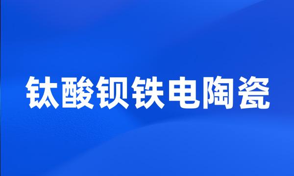 钛酸钡铁电陶瓷