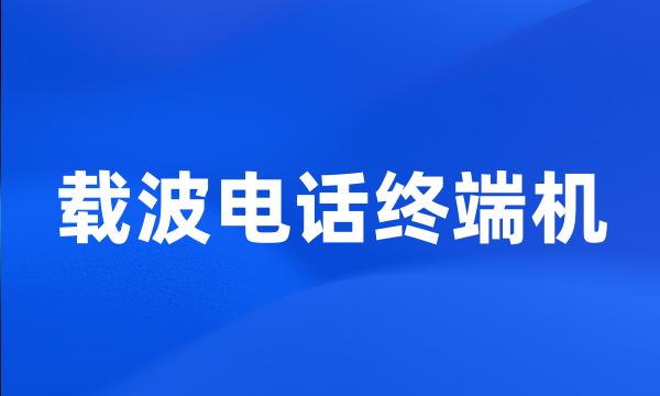 载波电话终端机