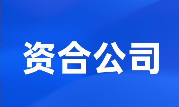 资合公司