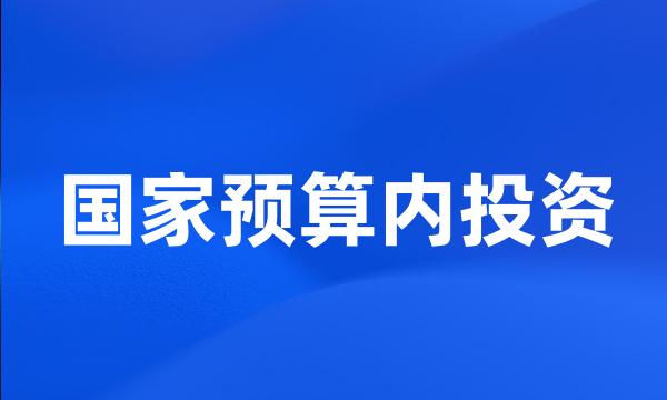 国家预算内投资