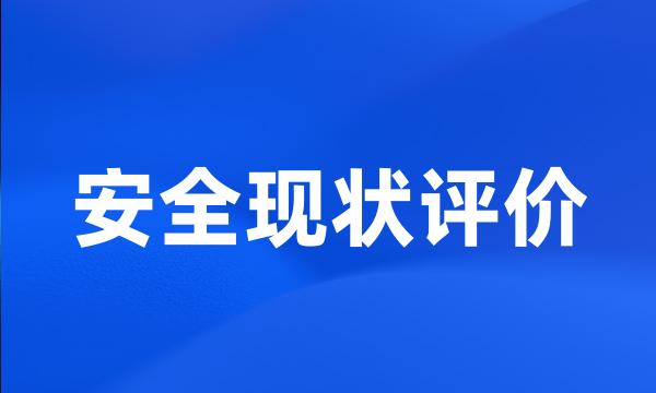 安全现状评价